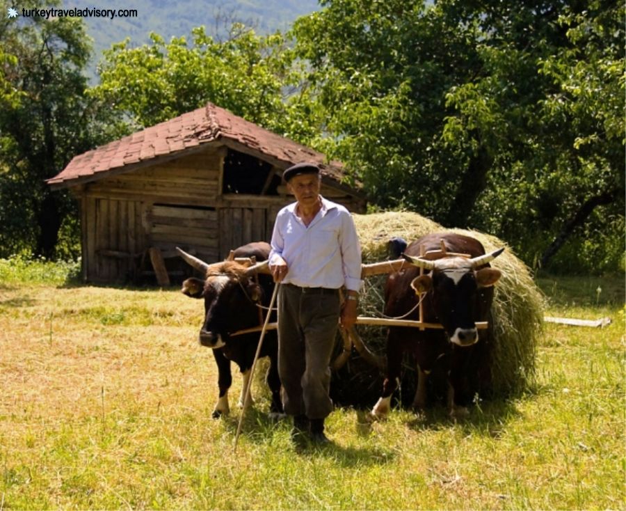 Anatolian People 