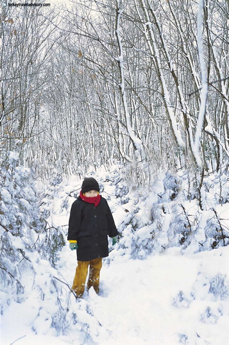 Turkey in winter