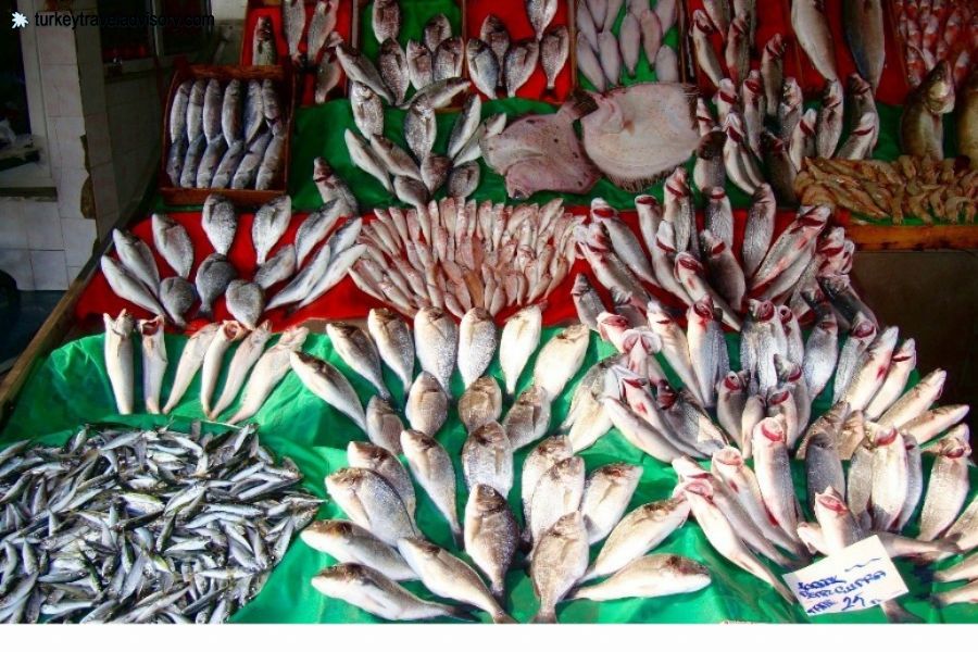 Istanbul KumkapÄ± Fish Market 