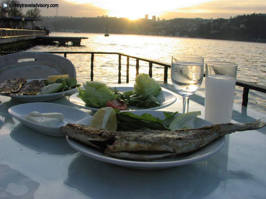 Istanbul Fish and RakÄ±