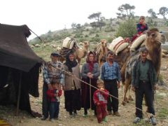 Nomadic Life in Tauros Mountains