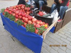 Pomegranate Tour offers pomegranate juice to its travellers