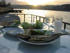 Istanbul Fish and RakÄ±