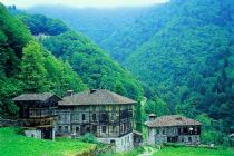 Rize