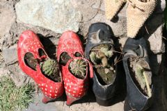 Ephesus- Sirince Village